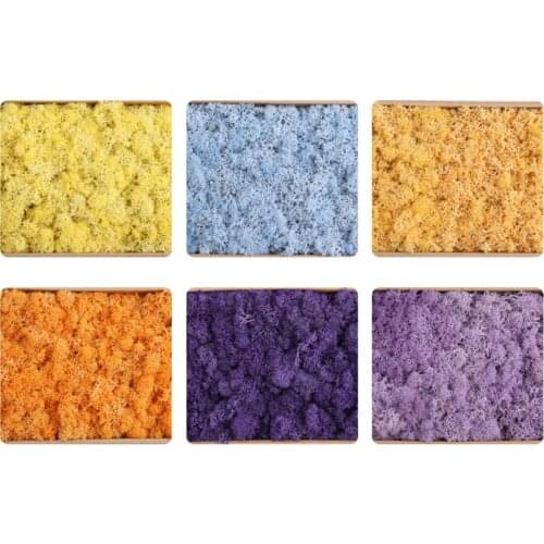 200g Eternal Life Preserved Fresh Moss For Wedding Party Home Hotel Decoration DIY Bouquet Material Accessory