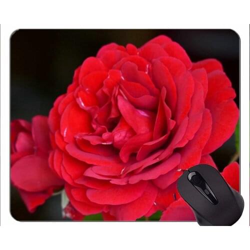 Natural Rubber Mouse Pad Printed with Colorful nature rose -Stitched Edges