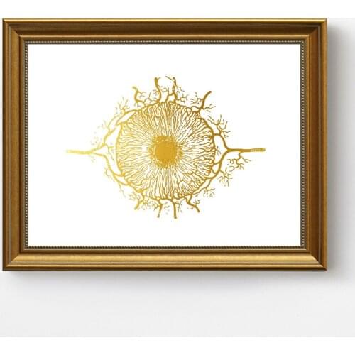 WANGART Iris Human Eye Optometrist Optician Poster Medical Art Ophthalmology Wall Picture Canvas Print Education office