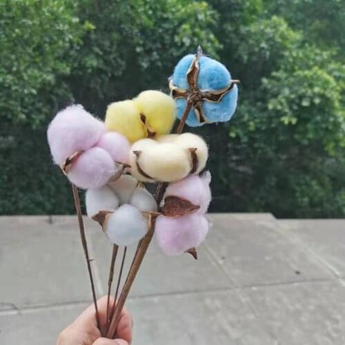 2pcs/35cm,Nature Dried Cotton head with Craft wire Branch,Display Flower Arranging For Wedding Party Home Decoration accessories