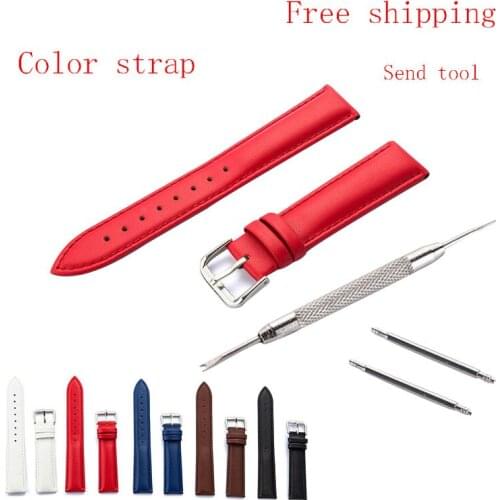 Genuine Leather Watchbands 12/14/16/18/19/20/22 mm Watch Steel Pin buckle Band Strap High Quality Wrist Belt Bracelet + Tool