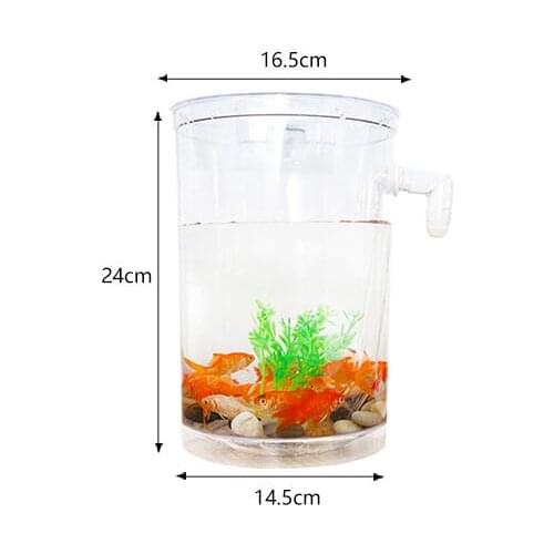 TEUMI Home Aquariums