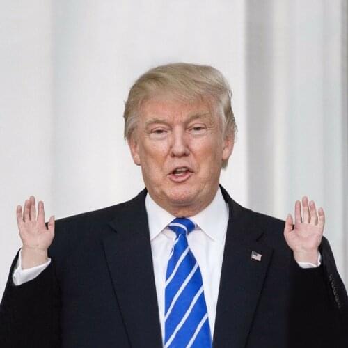 Cartoon Funny Little Finger Gloves Cat Massage Tool Tiny Hand / Foot Finger Puppet Small Finger Halloween small Trump hands