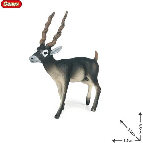 Children science and education simulation animal model toy solid static Indian black antelope Tibetan antelope decorative orname