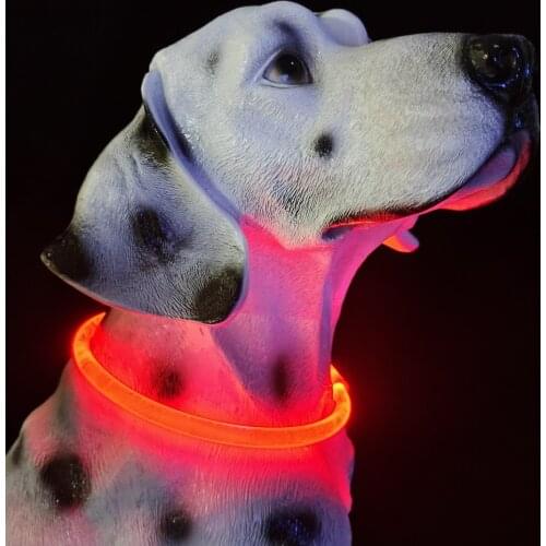 Led dog collar usb rechargeable safety collar with led light pet dog collars and leash pet products pet top selling