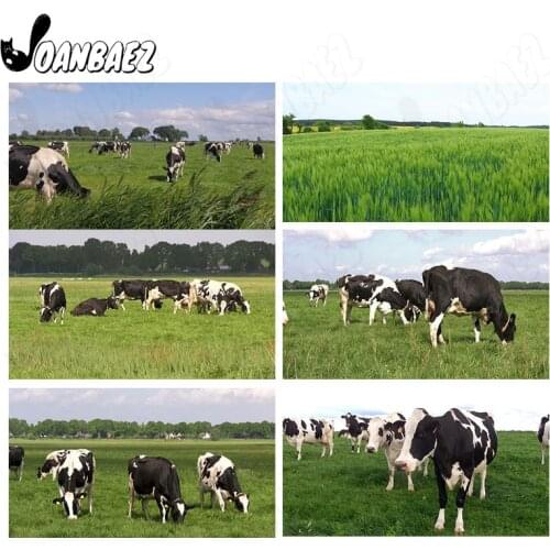 5Ddiy Diamond Painting Grassland Animal Cow Cross Stitch Diamond Embroidery Dream Mosaic Home Decoration Gift