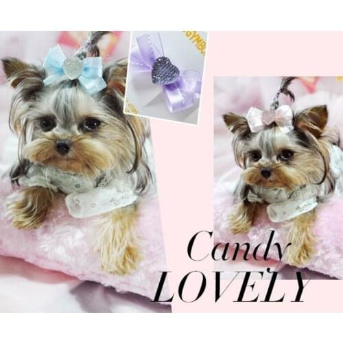 2017 New wholesale Teddy Yorkshire hairpin pet accessories Love flowers headdress Cat hairpin 30pcs