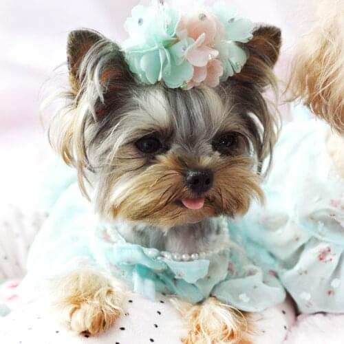 Pet Big flower hairpin Yorkshire butterfly knot hair ornament Teddy Maris hair clip Pet accessories 10pcs