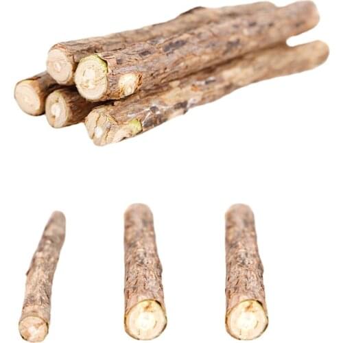 Natural Catnip Stick Pet Cat Toy Cleaning Teeth Molar Toothpaste Stick Silvervine Actinidia Fruit Cat Snacks Sticks Pet Supplies