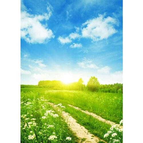 Grassland Flowers Sun Scenery Photography Background Custom Backdrops Photo Studio for Pets Children Baby Portrait Photocall