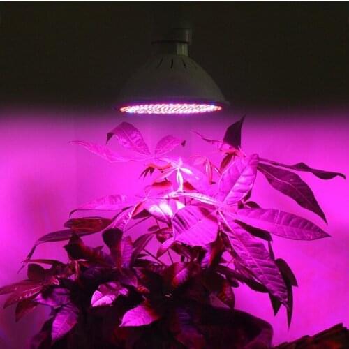 AOKELI Plant Lamps