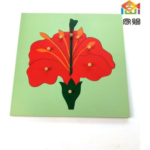 Montessori Materials ENCI China