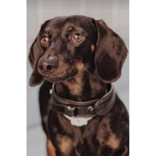 TOP ART Customize service Custom baby boy girl child portrait oil painting-from photo picture-# BEST child present- hand painted