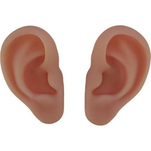 Human Anatomical Silicone Ear Acupuncture Practice Suture Kit, Suture Training for Teaching Tools