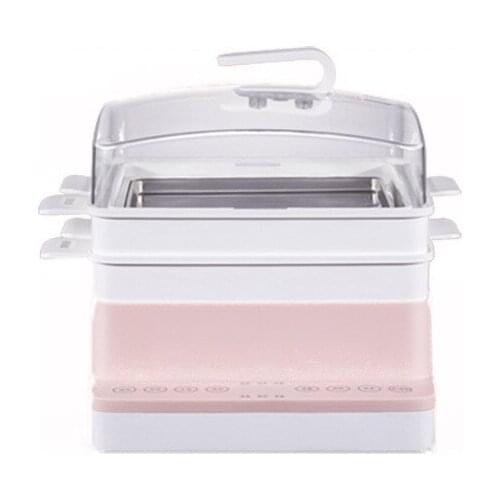 Dani Zhang Electric Steamers