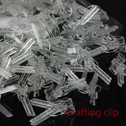 100PCS Quality Plants Graft Clips Plastic fixing fastening Fixture clamp Garden Tools for Cucumber Eggplant Watermelon