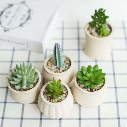 Lovely Flower Pots Simplicity Planters Succulents Indoor Herb Mini Potted Plants for Office Decoration Garden Home Accessories