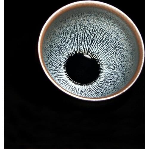 Jianzhan Top Grade Cup for Tea Silver Hares-fur Glaze Tenmoku Bowl Handmade by Famous Potter