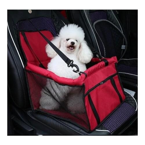 365Gunserisonu Products For Dogs