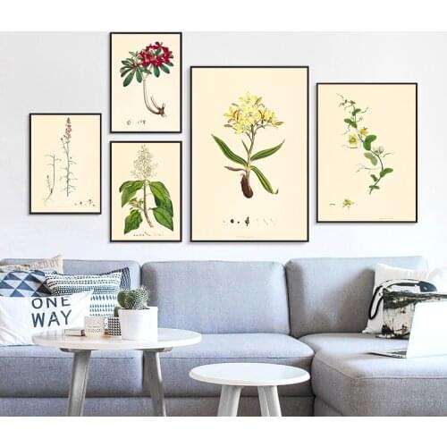 Botanical Studies Canvas Painting Vintage Posters and Prints French Plant Illustrations Botany Wall Art Pictures Decor Unframed
