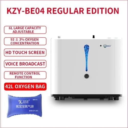 1-6L Oxygen generator oxygen machine small oxygen making machine atomization mute portable negative ion 220V