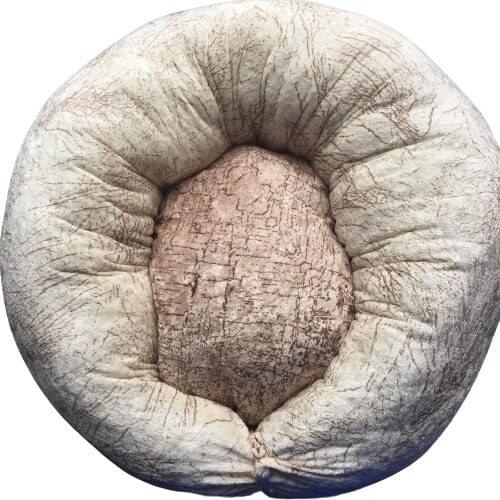 Eliz Home Decor Cat and Dog Bed