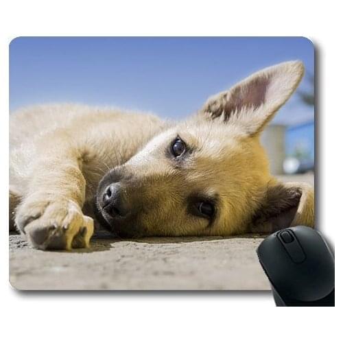Dogs pets garden Mouse Pads ,Dog Puppy Pet Animal Cute Canine Adorable Doggy,dogs mouse mat