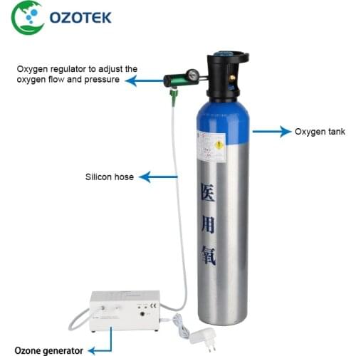 OZOTEK 5-99ug/ml medical ozone generator for ozone therapy MOG003 12VDC with oxygen regulator FREE SHIPPING