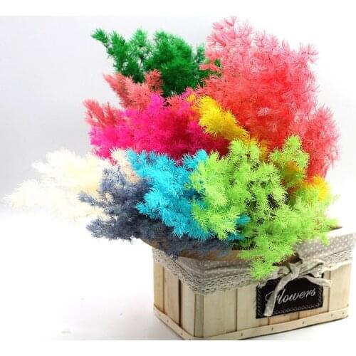 50CM natural Dried Fleur Eternelle Plant Preserved Flowers Penglai Pine For Christmas Wedding Party Home Decoration