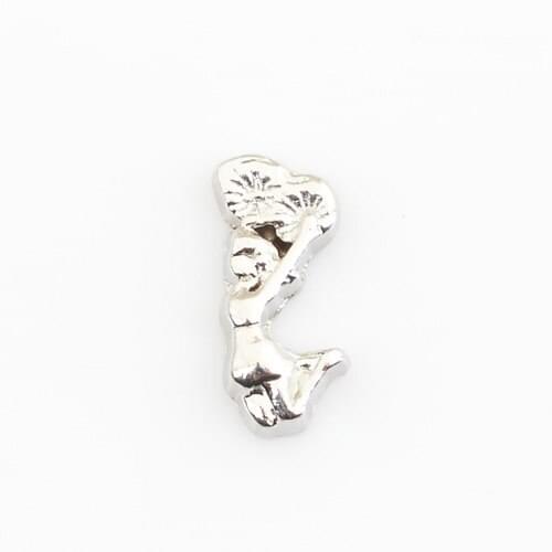 Cheerleading, Floating charms,Fit floating charm lockets, FC0345