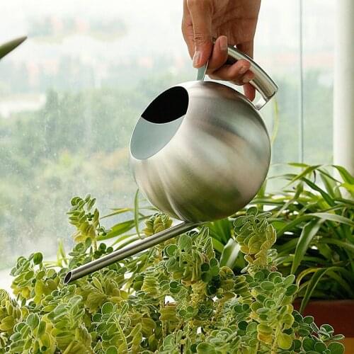 Stainless steel shower device creative spherical potted succulent watering cane European long mouth watering flower kettle 1 L