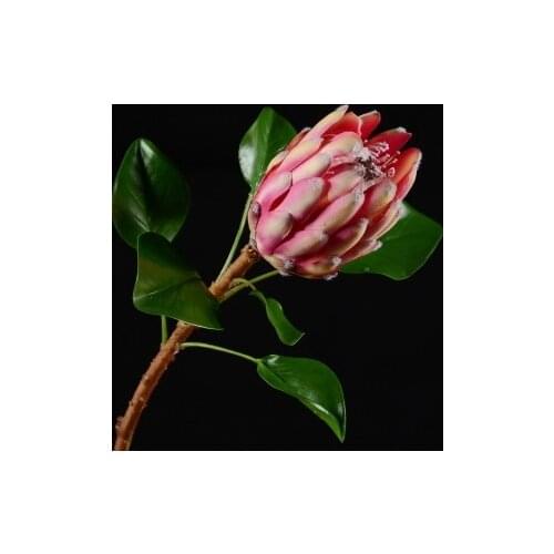 6pcs Tropical Plants Simulation Emperor Flower Princess Model Room Home Living Room Decoration Silk Flower artificial plants