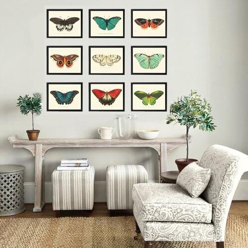 Butterflies Vintage Poster And Print Insect Antique Illustration Wall Art Canvas Painting Picture for Living Room Home Decor