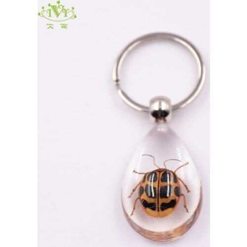 Custom clear resin specimen transparent promotional key chain ladybird resin key chain keys
