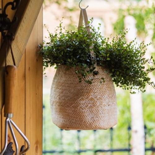 Basket Cement Fower Decoration Cesta Mimbre Pot Tube Vase Hanging Potted Decoration Art Outdoor Villa Courtyard Macetas Balcony