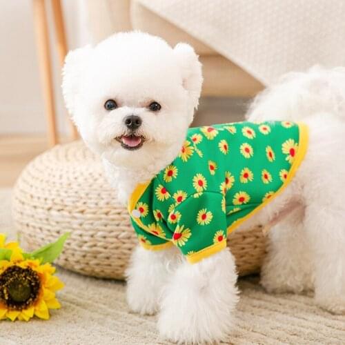 Dog Clothes Spring and Autumn Full Print Small Daisy Sweater Small and Medium Dog Cat Autumn and Winter Pet Clothes