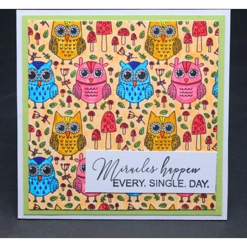 YINISE Silicone Clear Stamps For Scrapbooking STENSICLS OWLS COVER DIY PAPER Album Cards MAKING Craft Transparent RUBBER Stamp