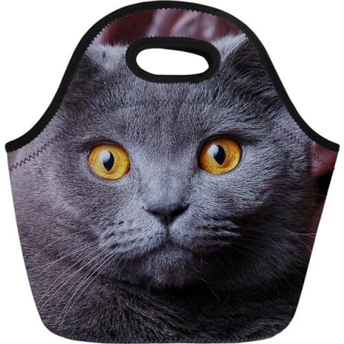 Lunch Bag Cooler Picnic Bag for Women Thermal Lunchbox Tote 3D Cat Kitty Prints Thermal Food Sac Neoprene Women Totebag