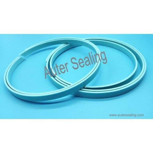 WR 50x45x8 phenolic resin with cloth support ring guide ring