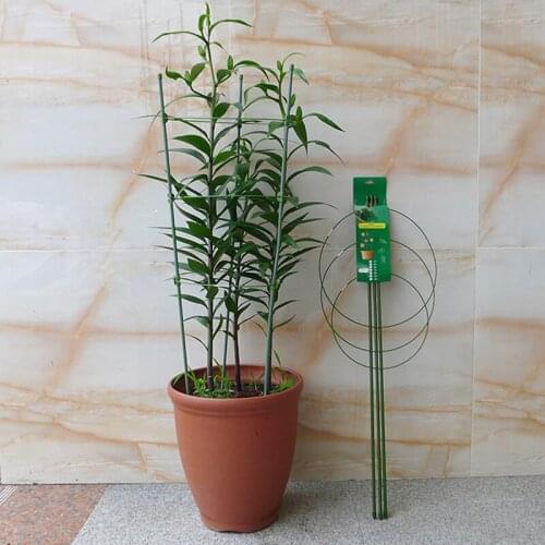 Heavy Duty Tomato and Plant Support Cage Plant-Staking System(45/60/75/90/120/150cm) Plant Cages & Supports