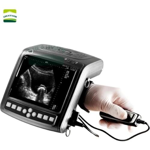 KX5200 COW Sonar Scanner SHEEP Pregnancy Tester PIG Fetus Test Veterinary Portable Scanner WATERPROOF Animal Sonar Color New
