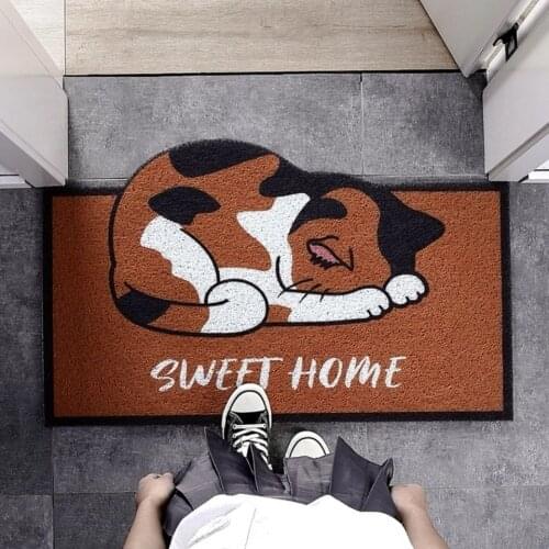Cartoon Sand Scraping Dust Door Entrance Mat Kitchen Bathroom Non-slip Rug Dust Removal Carpet Wire Loop Footpad Doormat
