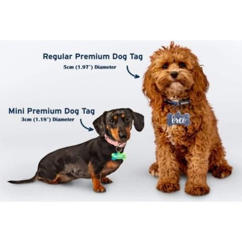 6 Pieces Dog Tag Epoxy Resin Mold Circle Round Dogs Bone Keychain Pendant Silicone Mould DIY Crafts Jewelry Casting Tool