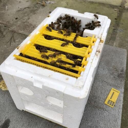 Beekeeping Queen Breeding Rearing Box Mini Mating Hive DIY Beekeeping Container for Beekeeper