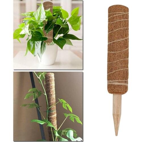 30/40/50cm green radish coconut palm silk support rod climbing moss plant garden support plant pole flower support stand B5I8