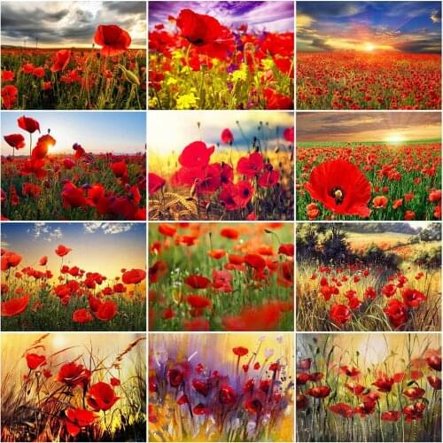 AZQSD Unframe Oil Painting By Numbers Poppy DIY Handpainted Gift Acrylic Paint Coloring By Numbers Flower Decor For Home