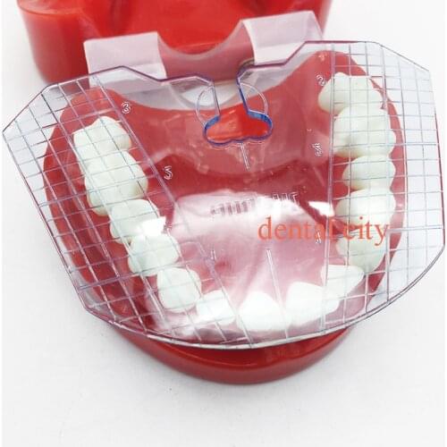 1pcs dental lab dental guide plate teeth arrangement on denture work