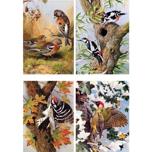 DPF 5D bird house Round/Square Diamond Painting Cross Stitch Crafts Diamond Embroidery Mosaic Needlework Kits Home Decor