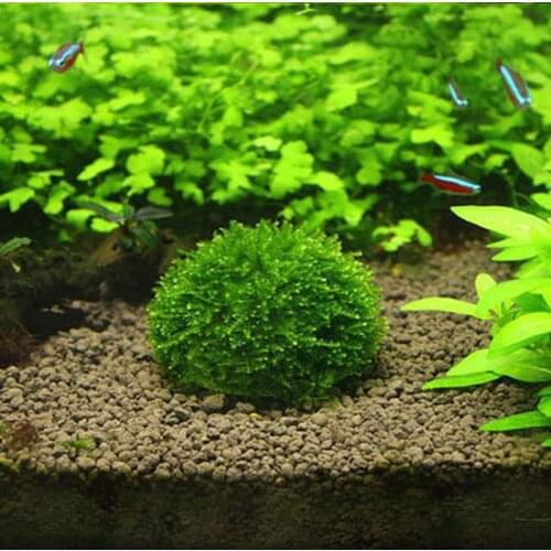 1PC Plastic Aquarium Decoration Live Plants Fish Tank Media Moss Ball Filter For Aquarium Aquatic Pets Mineral Balls Ornaments