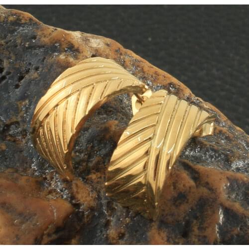 Fashion Stainless Steel Jewelry Stud Earrings For Woman & Girl Party Gift Free Shipping Joyas Store ERYZ061